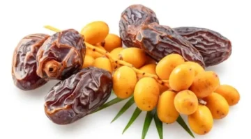 التمور بين الطازج والمجفف: أيهما يقدم فوائد صحية أكبر؟